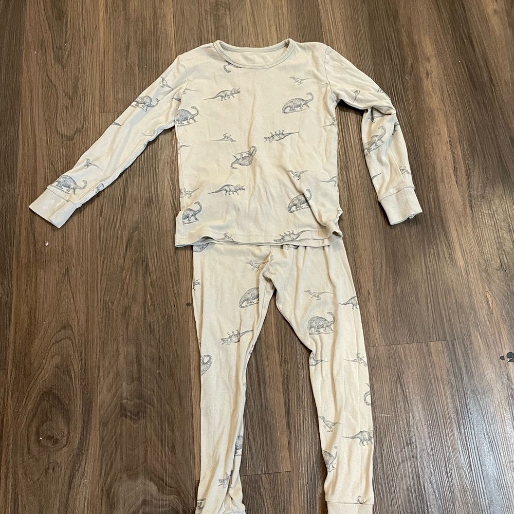 Organic Dinosaur Pajamas